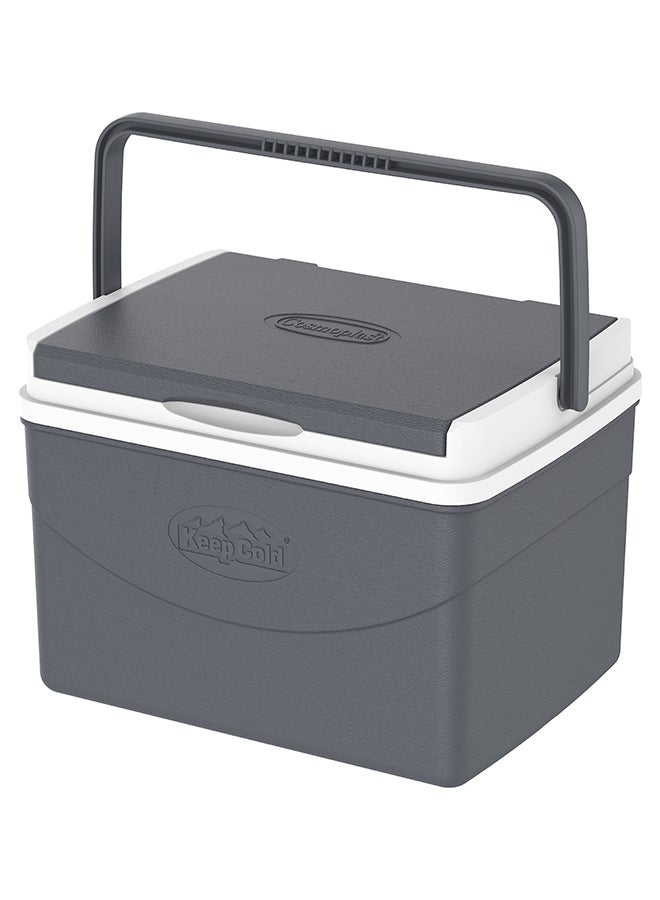 Cosmoplast - 5L KeepCold Picnic Icebox Grey 5Liters - Image 1
