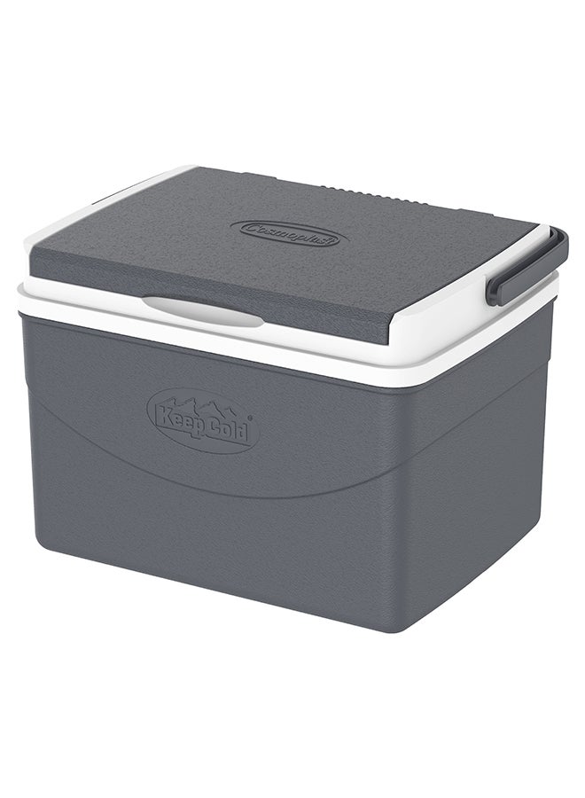 Cosmoplast - 5L KeepCold Picnic Icebox Grey 5Liters - Image 1