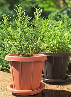 كوزموبلاست سيدارجران 16 "وعاء الزهور مع صينية رصاصي  - Image 4