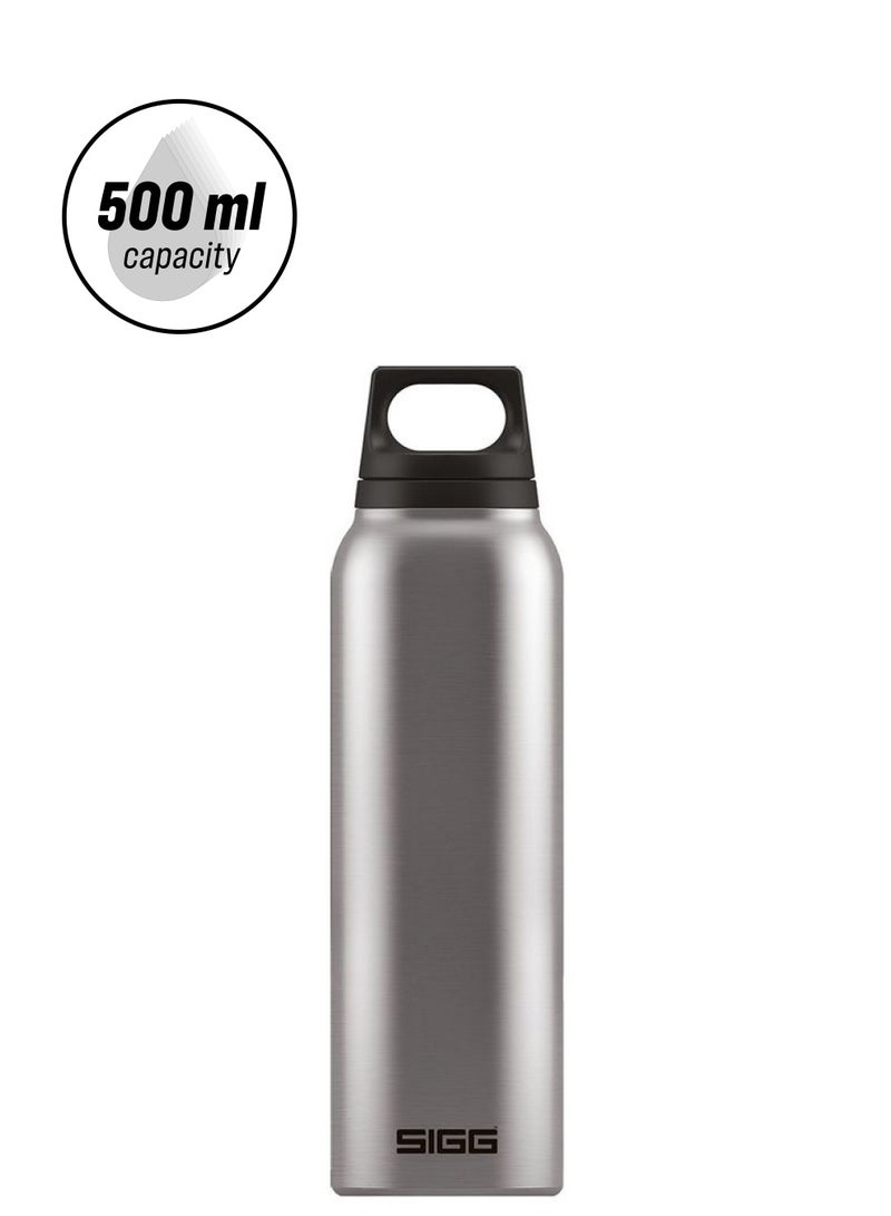 Sigg Stainless Steel Hot & Cold Thermo Flask With Tea Filter Brushed - Image 1