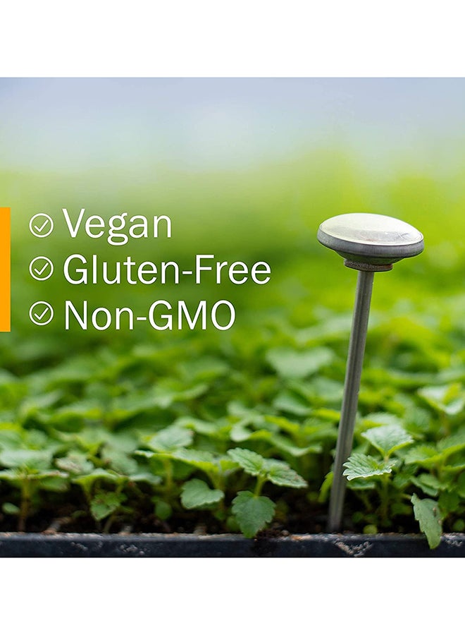 HERB PHARM Kids Echinacea Immune System Support Herbal Supplement Orange Flavor Alcohol Free 30Ml - Image 3