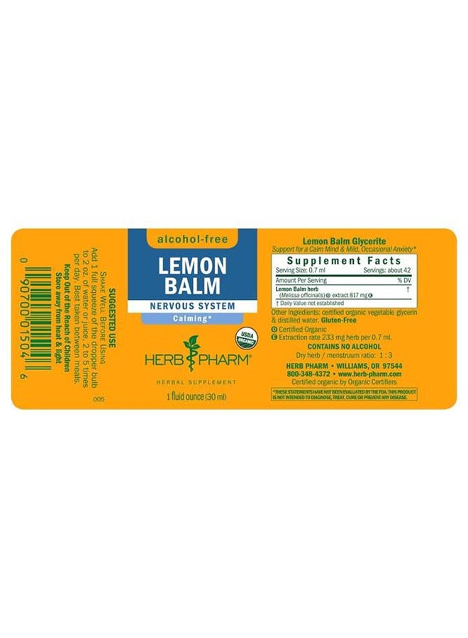 Lemon Balm Nervous System Support Herbal Supplement Calming Alcohol Free 30Ml