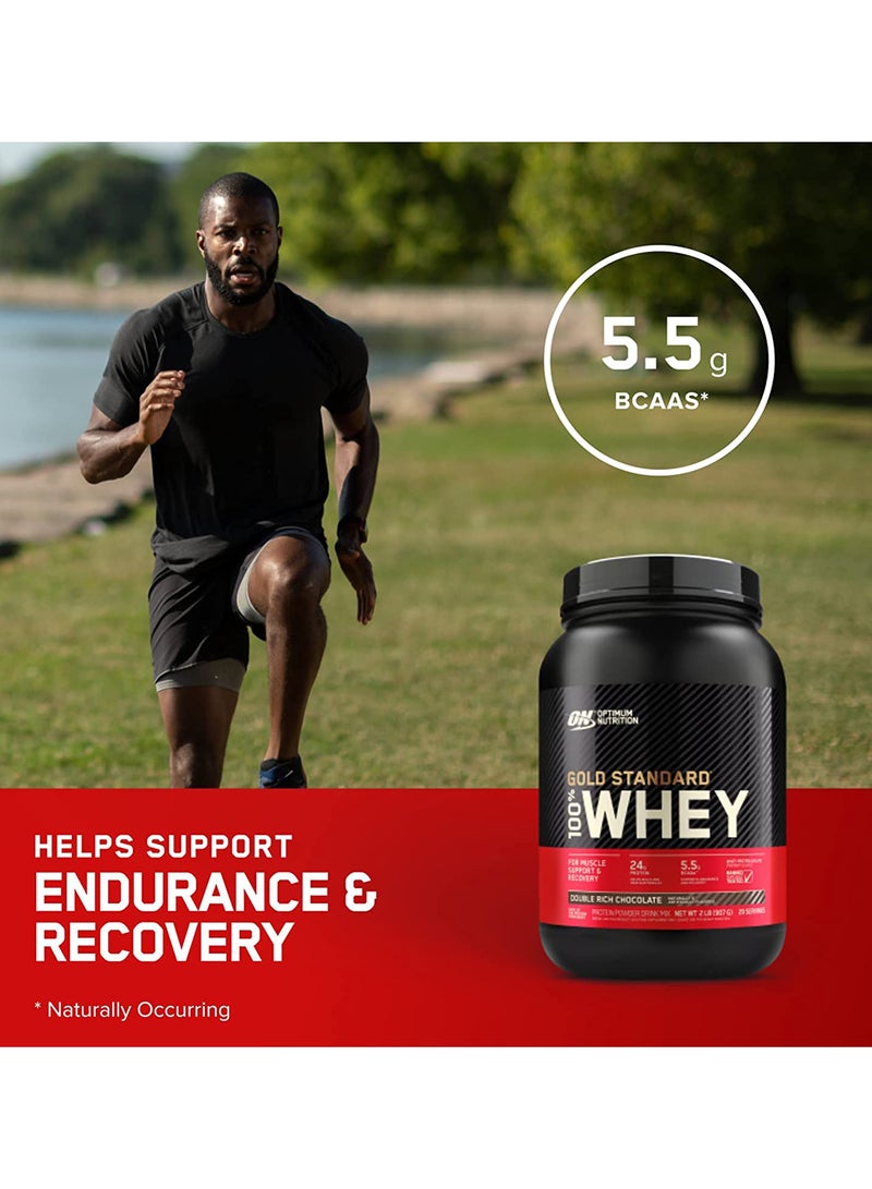 Optimum Nutrition - Gold Standard 100% Whey Protein Powder 2 Lbs Double Rich Chocolate - Image 1