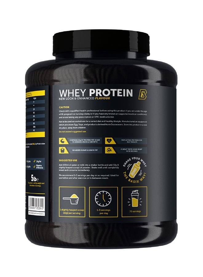 Basix - Basix Whey Protein Vanilla Whip 5lb - Image 1