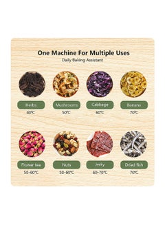 Sanford Powerful Electric Food Dehydrator With 5pcs Transparent AS Trays, 360° Airflow System, Auto Power Off, Membrane Switch Control with LED Display, Food-grade & BPA-free 8 L 450 W SF5755FS BS Silver/Black  - Image 3