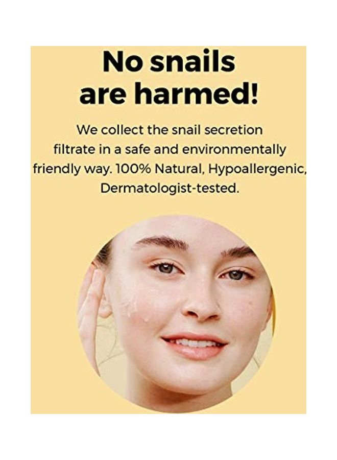 كل شيء عن مجموعة الحلزون - Image 5