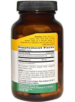 Country Life L-Arginine 500 mg Vegan Capsules 100's  - Image 3