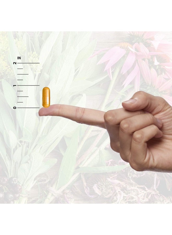 Echinacea & Goldenseal, 90 Vegan Capsules