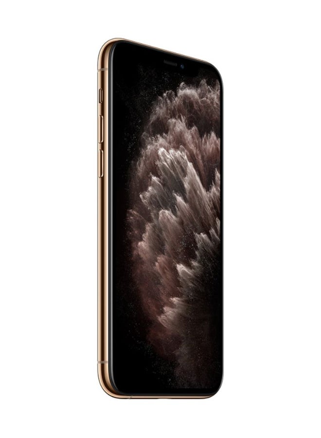 Apple Renewed - iPhone 11 Pro Max 512GB Gold 4G With Facetime - International Version  - Image 5