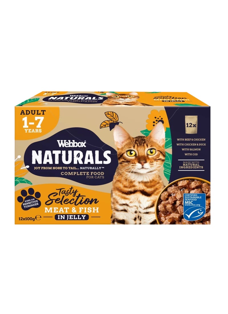 طعام جيلي للقطط بنكهة بنكهة اللحم والسمك ناتشورال 1200جرام