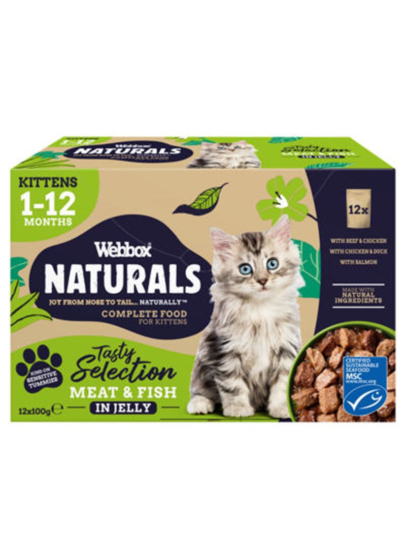 Webbox Natural Kitten Mixed In Jelly 1200grams 