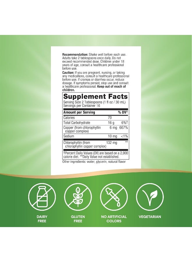 Nature's Way Chlorofresh Liquid Chlorophyll Healthy Skin And Body Detox Mint Flavor 16 Fl Oz  - Image 2