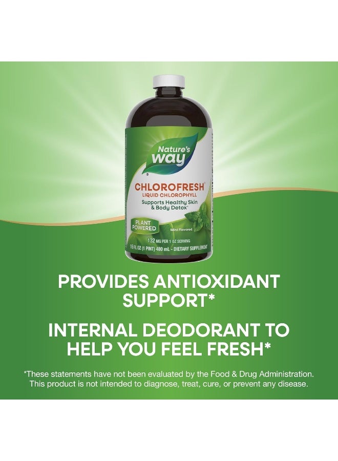 Nature's Way Chlorofresh Liquid Chlorophyll Healthy Skin And Body Detox Mint Flavor 16 Fl Oz  - Image 3