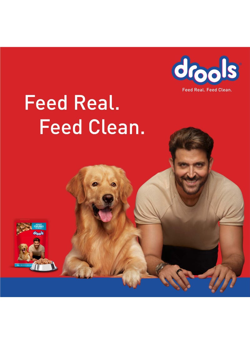 Drools - Adult Dog Chicken Chunks Gravy 150grams - Image 1