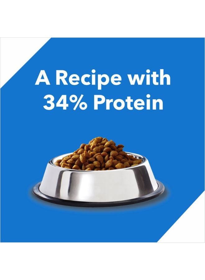 Drools - Ocean Fish Dry Cat Food For Kittens With Free Container 1.2kg - Image 1