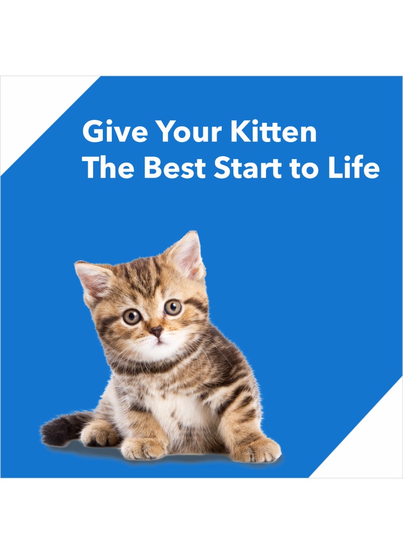 درولز طعام القطط الجاف Ocean Fish للقطط الصغيرة مع حاوية مجانية - Image 5