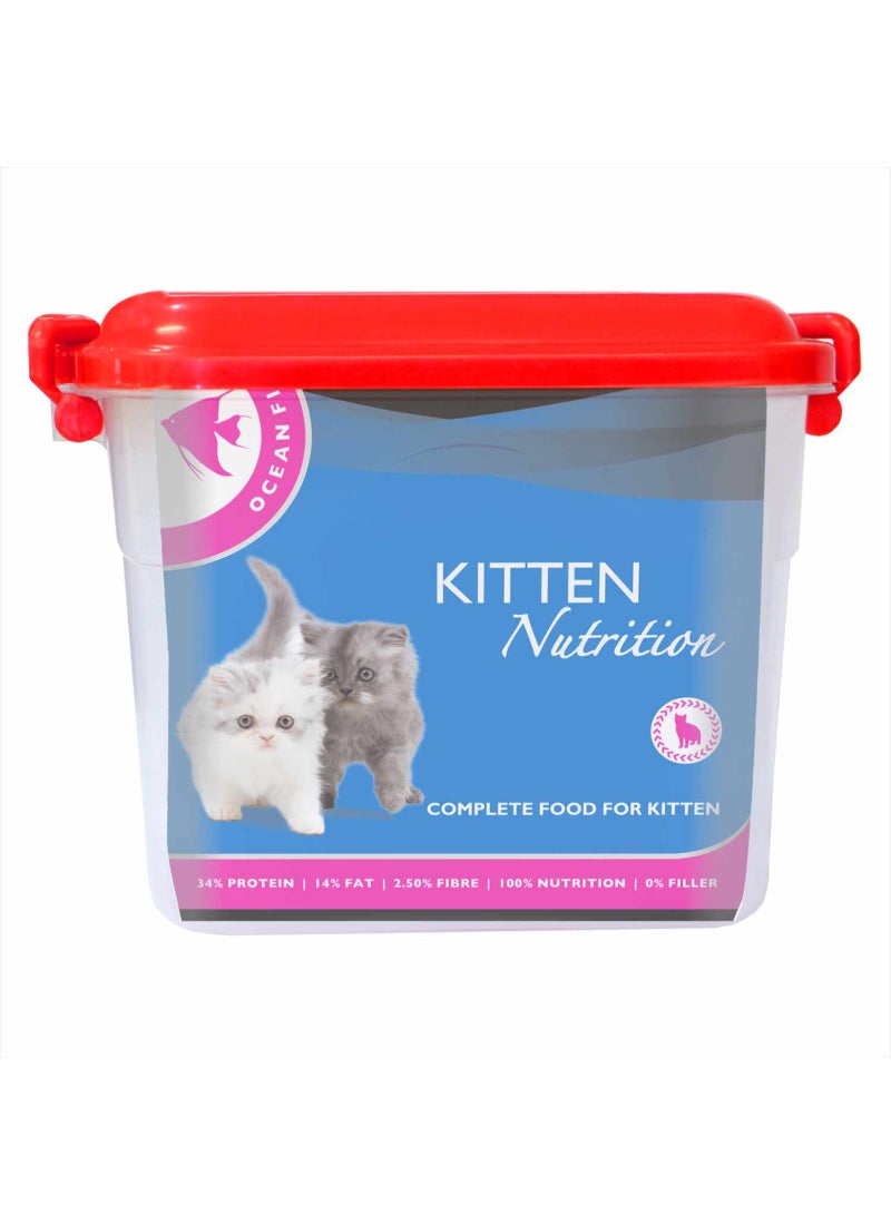 درولز طعام القطط الجاف Ocean Fish للقطط الصغيرة مع حاوية مجانية - Image 3