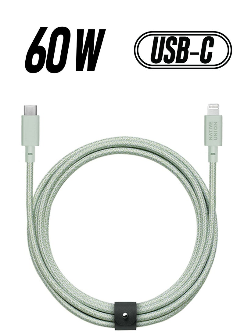 Native Union Pro USB-C To USB-C Charging Cable Sage - Image 1