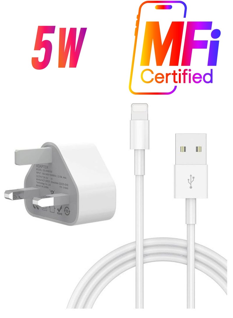 ICS 5V 1A Power Adapter With USB  Cable For Apple Iphone white - Image 1