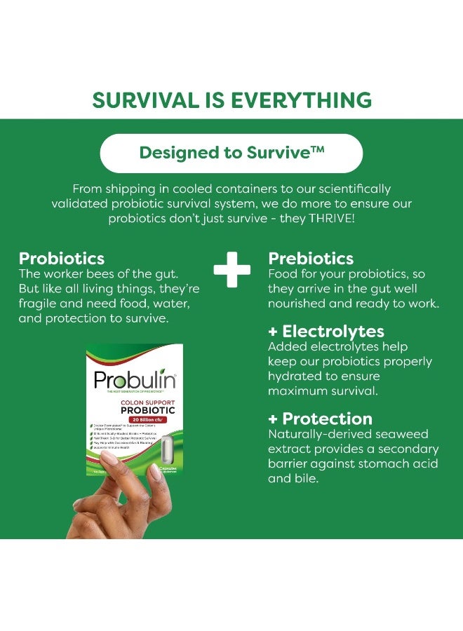 Probulin - Colon Support Capsules 30's - Image 1