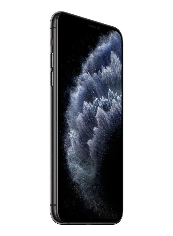 أبل تم تجديده - آيفون 11 برو ماكس مع فيس تايم رمادي فضائي سعة 64 جيجابايت 4G LTE -  - Image 5