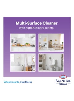 Scentiva Multi Surface Spray Cleaner Tuscan Lavender, Bleach Free 500ml - pnsku/N50816310A/45/_/1720383186/bc316006-f6ca-45f8-b316-226d25480dfc