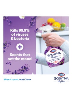 Scentiva Multi Surface Spray Cleaner Tuscan Lavender, Bleach Free 500ml - pnsku/N50816310A/45/_/1720383193/f520dac6-86df-44ce-b9fa-31f4150ccd56