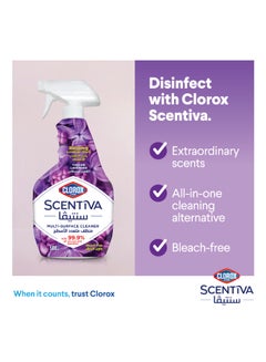 Scentiva Multi Surface Spray Cleaner Tuscan Lavender, Bleach Free 500ml - pnsku/N50816310A/45/_/1720383195/39c433e5-5f80-4cf5-95a8-c6eaab71d33d