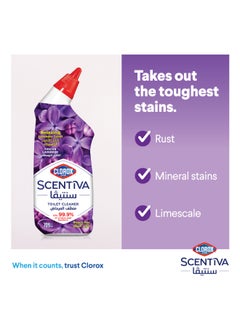 Scentiva Toilet Cleaner Tuscan Lavender, Bleach Free 709ml - pnsku/N50816313A/45/_/1720383202/b094f9c0-fdfc-4c23-9122-a3f2a9a0c4a2