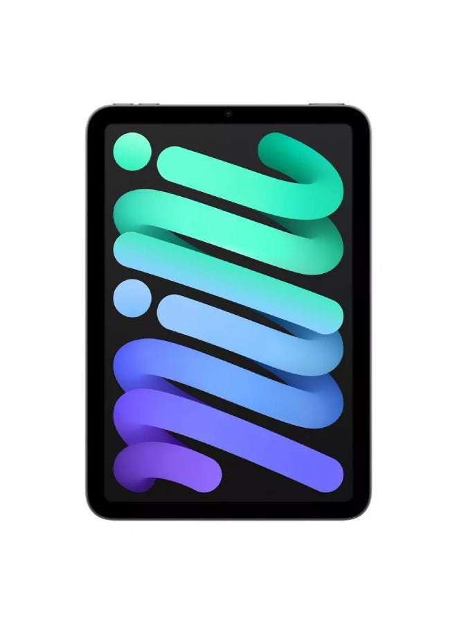 iPad Mini 2021 (6th Generation) 8.3-inch 256GB WiFi 5G Space Gray With Facetime - Middle East version