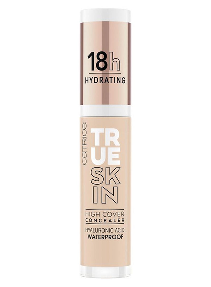 كاتريس خافي عيوب البشرة ترو سكين بتغطية عالية 010 كشمير هادئ - Image 1