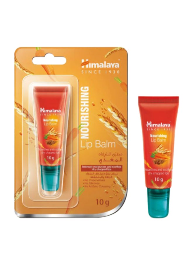 Lip Balm Nourishing Multicolour 10grams Multicolour 10grams - pnsku/N50929337A/45/_/1733301604/01baf589-0cf3-4fd0-8dc2-cdf8a268e187