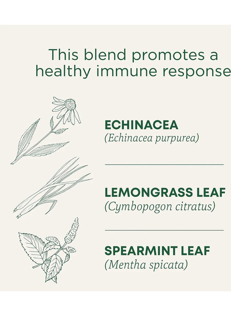 Traditional Medicinals Organic Echinacea Plus Spearmint, Promotes Immune Function, Caffeine Free, 16 Tea Bags  - Image 2
