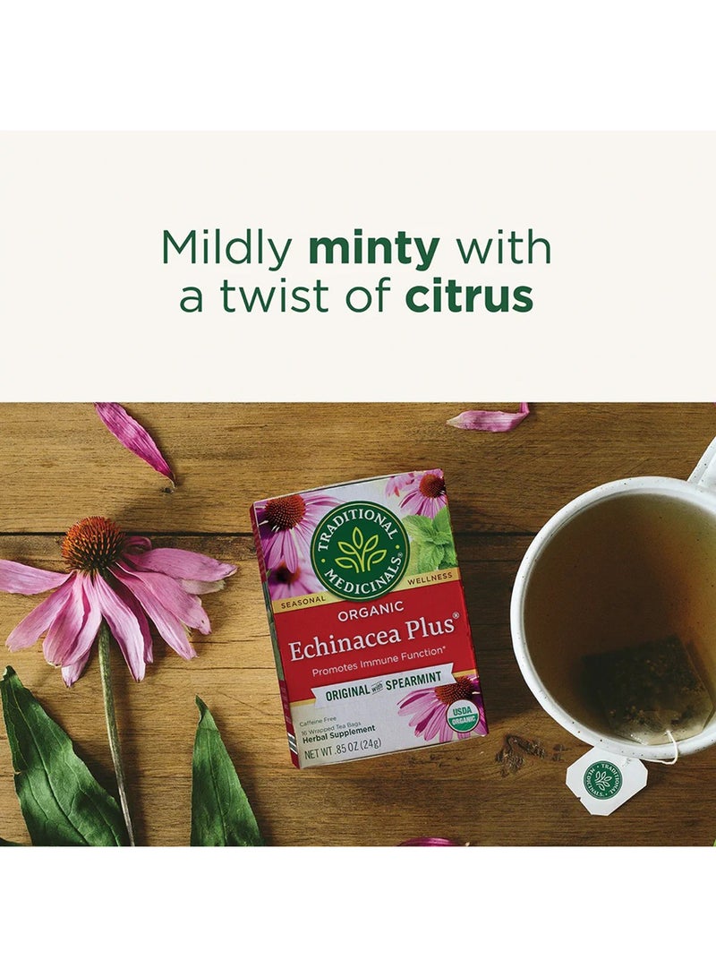 Traditional Medicinals Organic Echinacea Plus Spearmint, Promotes Immune Function, Caffeine Free, 16 Tea Bags  - Image 3