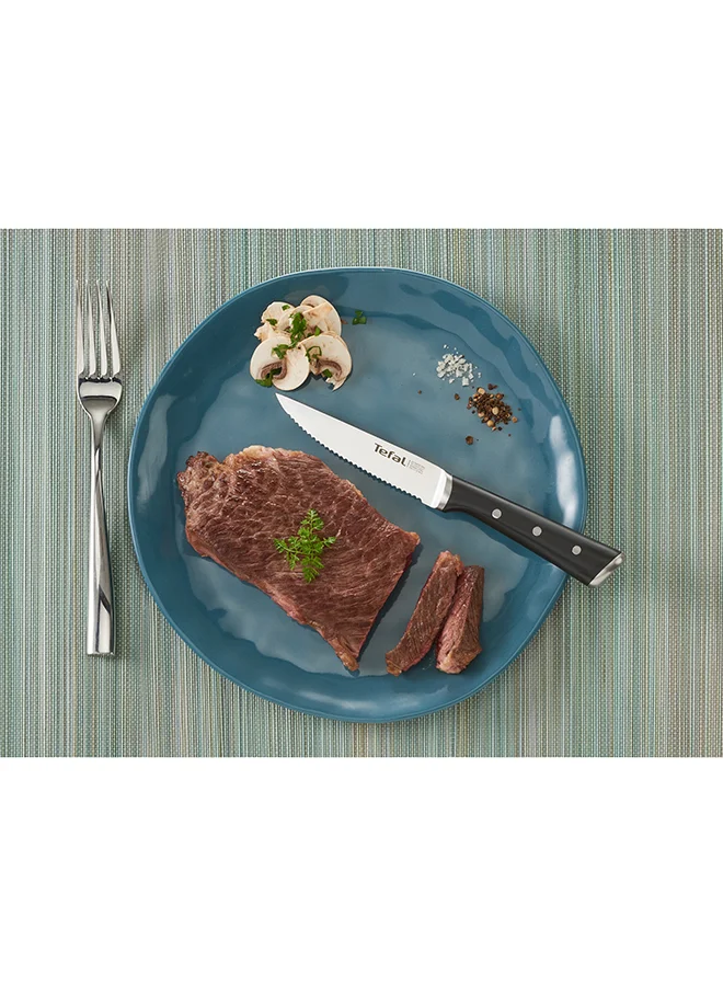 Tefal Ice Force Set Of 4 Steak Knives Black 11cm
