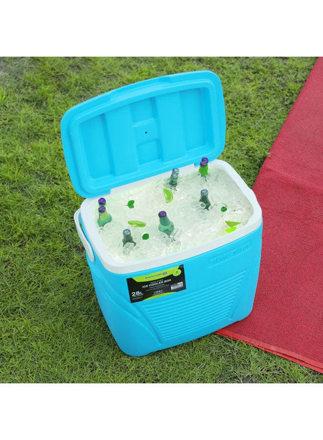 Insulated Ice Cooler Box Multicolour 39.2X25.7X40.5cm