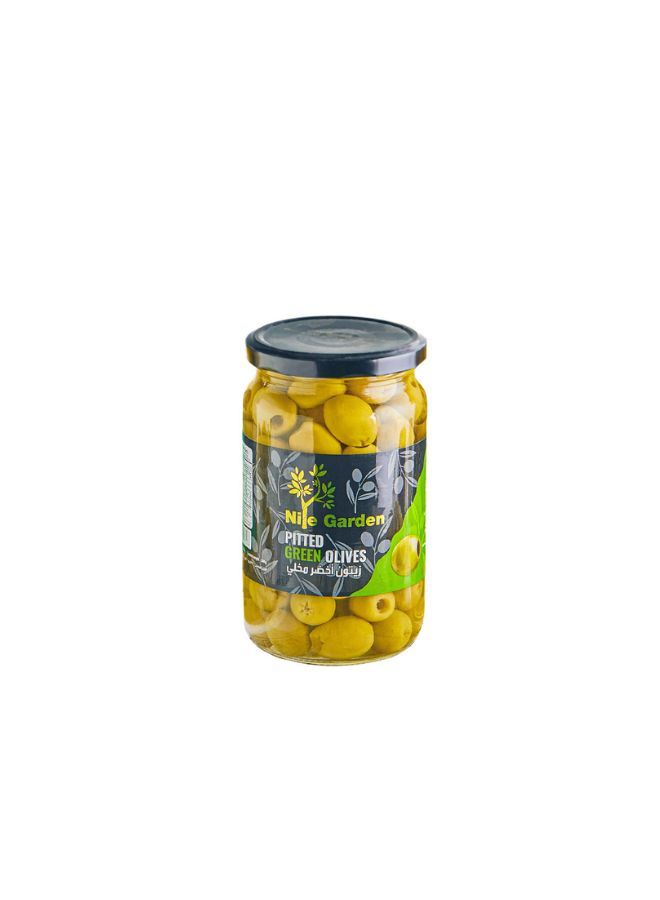 سعر ومواصفات نايل جاردن زيتون أخضر منزوع النواة 680جرام (N51661955A) على Noon EG