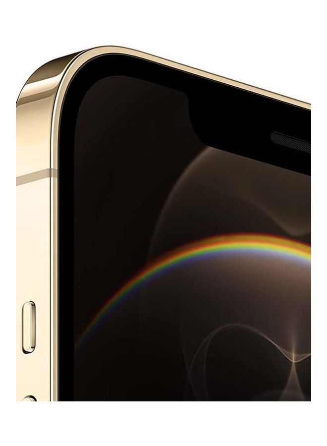 Apple - Refurbished- iPhone 12 Pro Max 256GB Gold 5G - International Version - Image 1