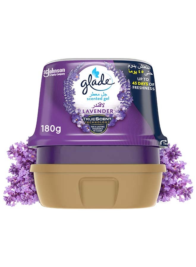 Scented Gel Lavender Purple 180grams - pnsku/N52265795A/45/_/1702367238/af9e2d6b-5972-4a4b-89c2-65fb809f1c36