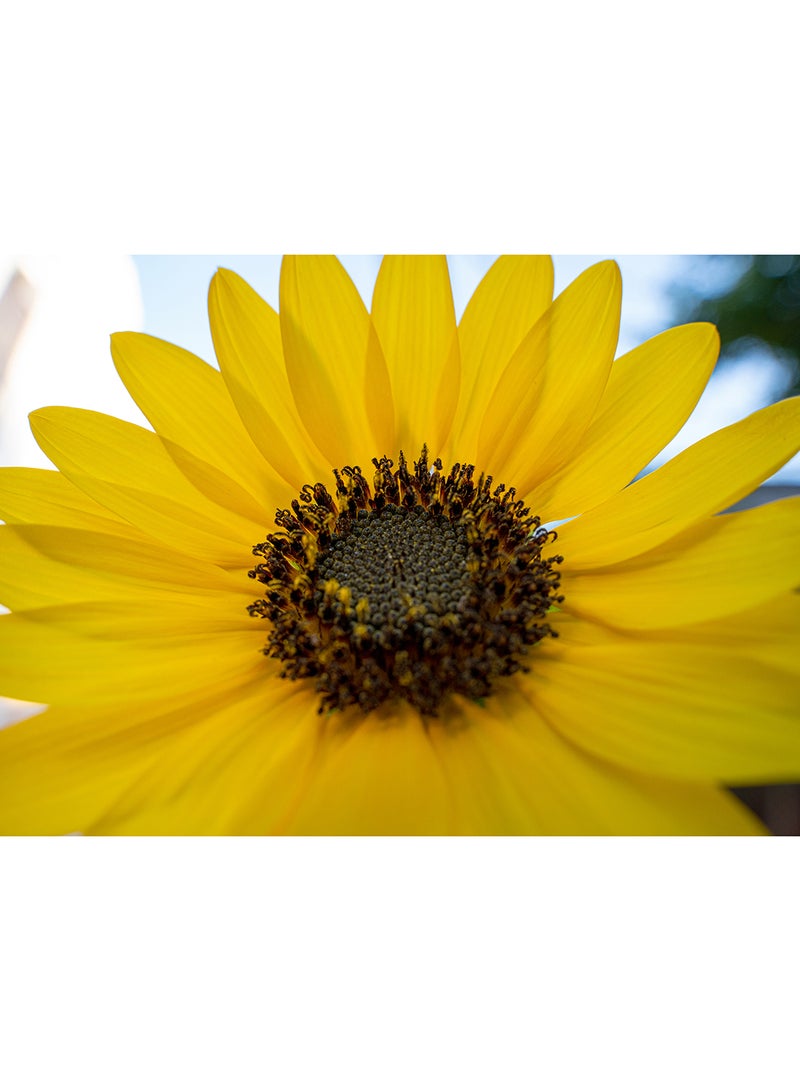 Tamron A063S 28-75mm F/2.8 DIII VXD G2 For Sony Black - Image 3