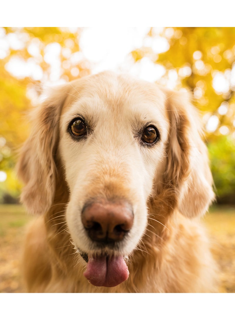 Tamron A063S 28-75mm F/2.8 DIII VXD G2 For Sony Black - Image 4