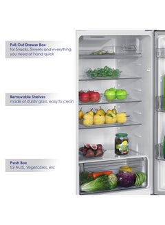SUPER GENERAL 500 Liter Double Door Refrigerator Frost Free Glass Shelves 410 W SGR515I Silver  - Image 2