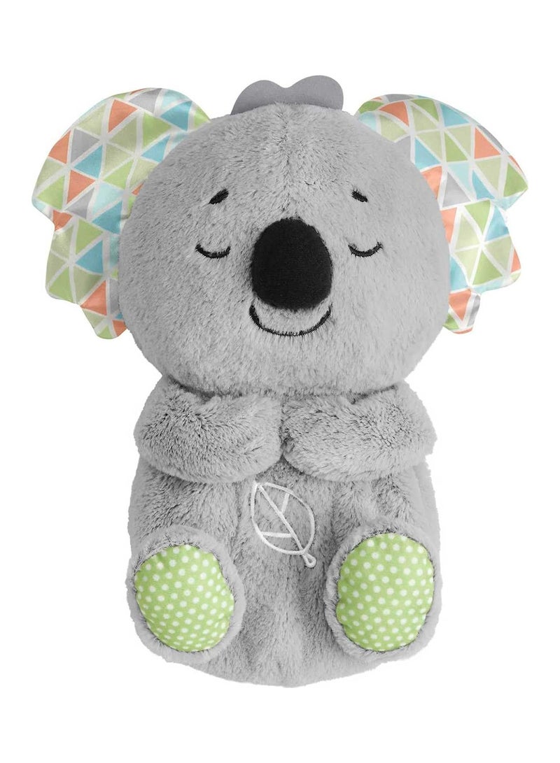 فيشر برايس بي جي - كوالا البطن المتنفسة - Image 1