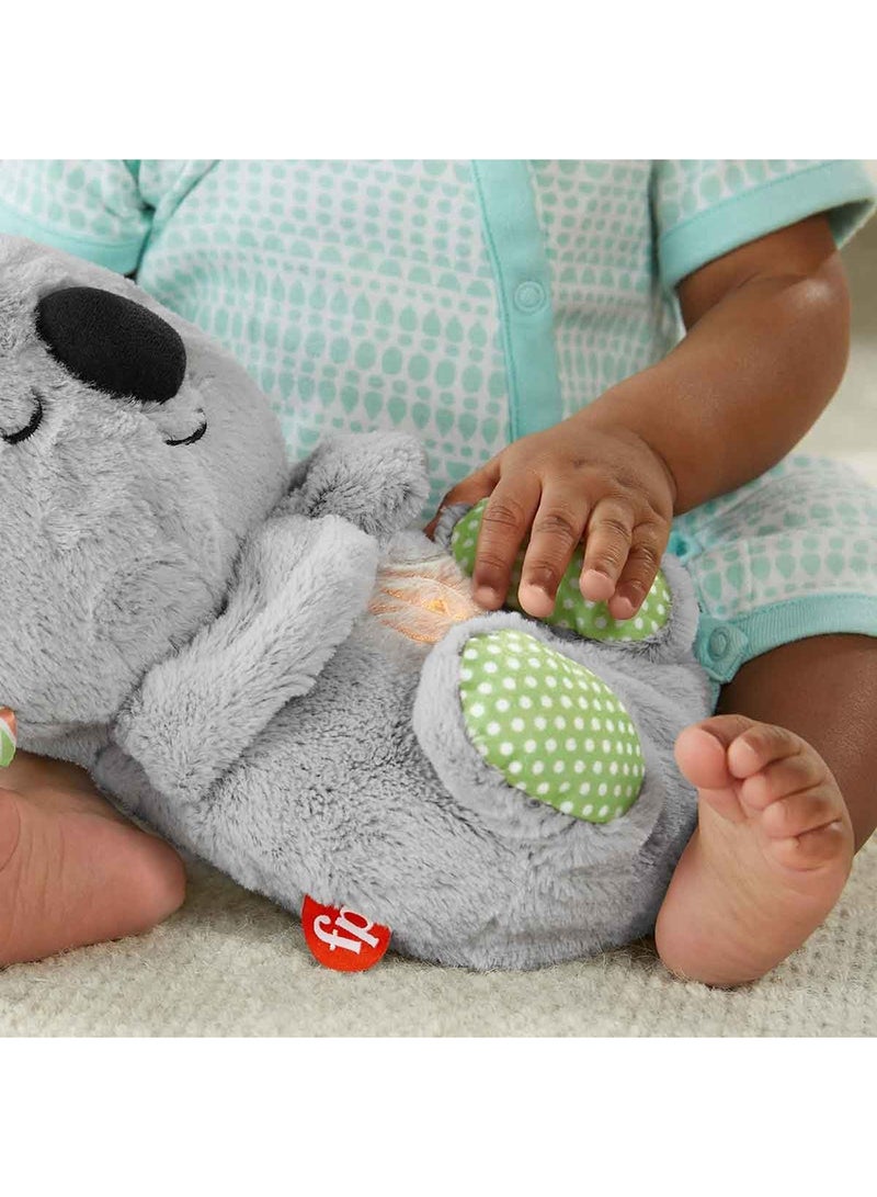 فيشر برايس بي جي - كوالا البطن المتنفسة - Image 3