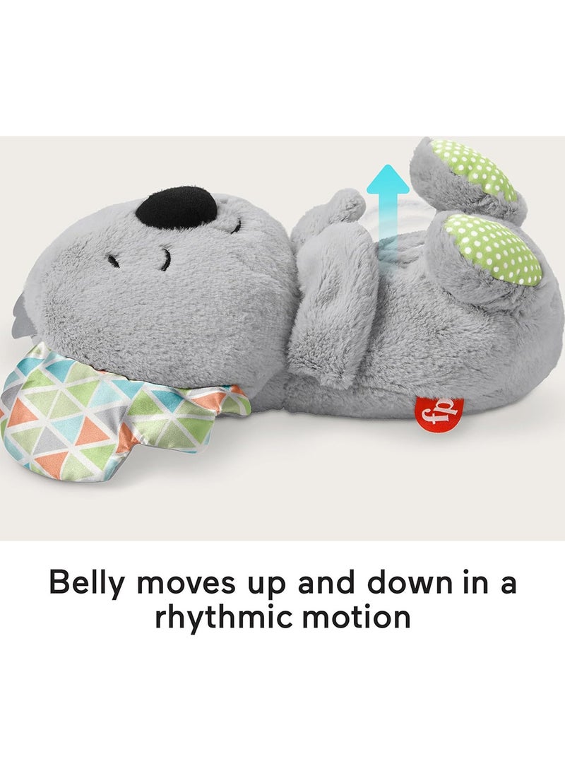 فيشر برايس بي جي - كوالا البطن المتنفسة - Image 5