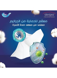 Fluffy 2 Ply Facial Tissue Soft Pack, 400 Sheets (Pack Of 3) - pnsku/N53179916A/45/_/1713280760/a8f48992-9a1a-4d0f-b56d-37cbd26aa31c