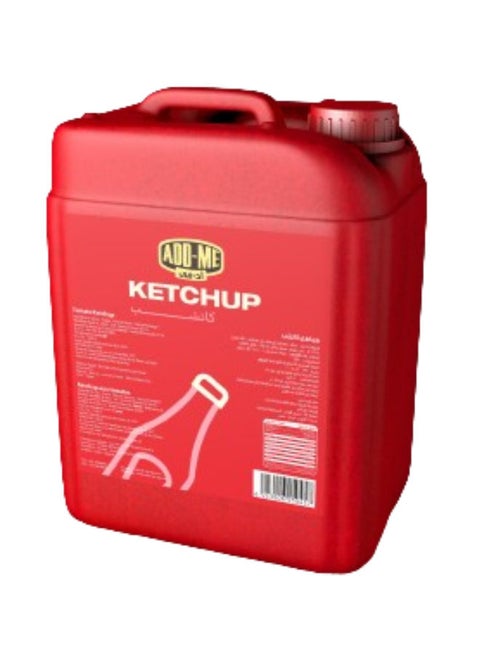 Tomato Ketchup 10kg  Single