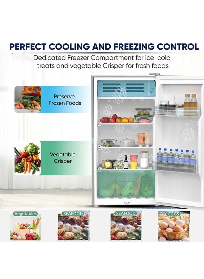 NIKAI - 85 Liter 3 Cubic Feet Mini Refrigerator, Two Removable Glass Shelves, Vegetable Crisper NRF110N23S Silver - Image 1