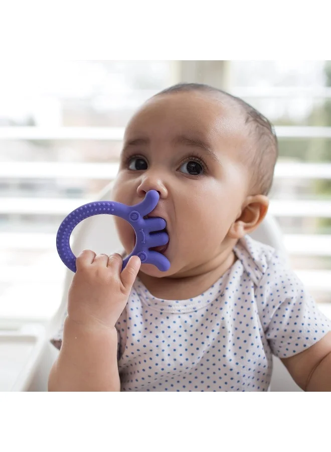 دكتور براونز Flexees Friends Octopus Teether - Purple