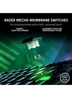 RAZER Ornata V3 Gaming Keyboard: Low-Profile Keys - Mecha-Membrane Switches - 10-Zone RGB Lighting - Spill-Resistant - Magnetic Wrist Wrest - Classic Black  - Image 4